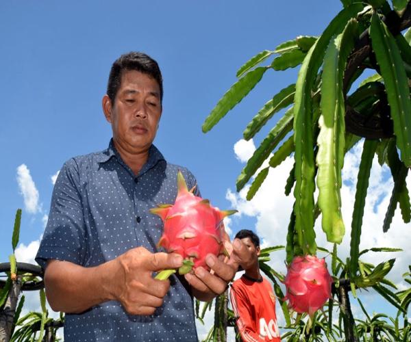 Bakorluh Bertekad Ciptakan SDM Petani Berkualitas