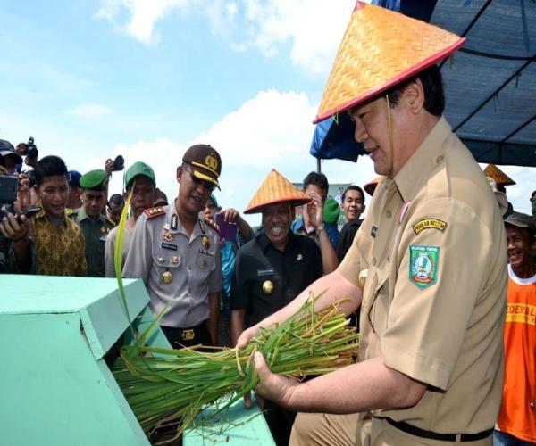 Proyek Pice Wujudkan Mimpi Aman Beras