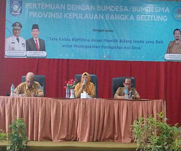 Peningkatan Kapasitas Pengurus BUMDes Terkait Tata Kelola BUMDES dan PADesa