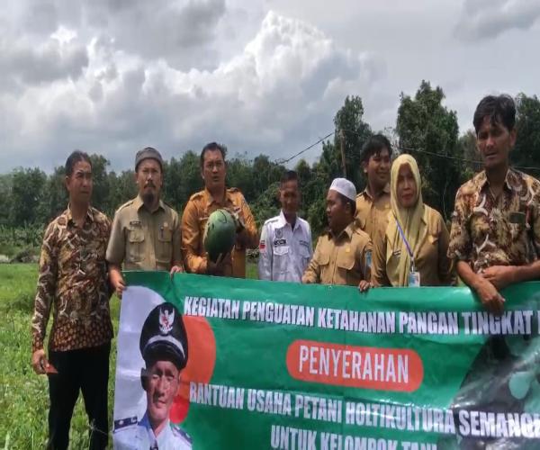 Perkuat Ketahanan Pangan, Desa Jada Bahri Lakukan Tumpang Sari