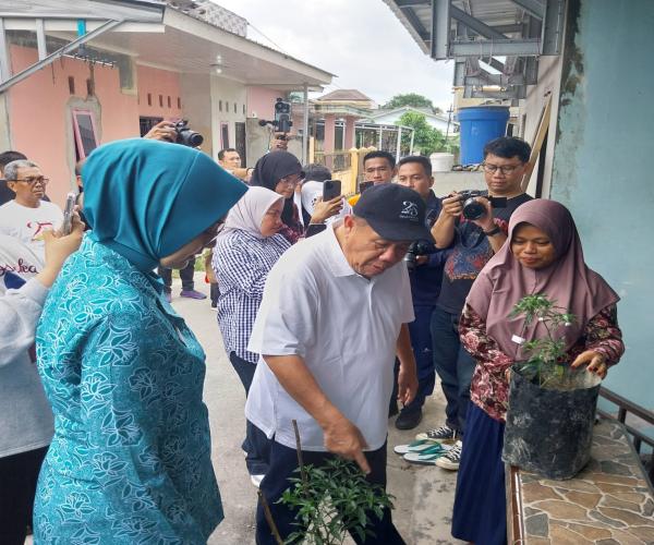 Melalui Gerakan Nanam Cabai  Rakyat“ GENCAR”, Gubernur Kepulauan Bangka Belitung Menggalakan Gerakan Ketahanan Pangan Berbasis Pemberdayaan Keluarga