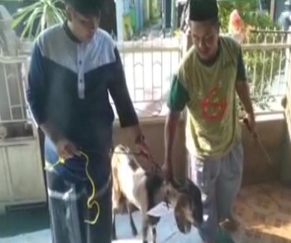 Perdana, Pegawai DinsosPmd Sedekah Kurban